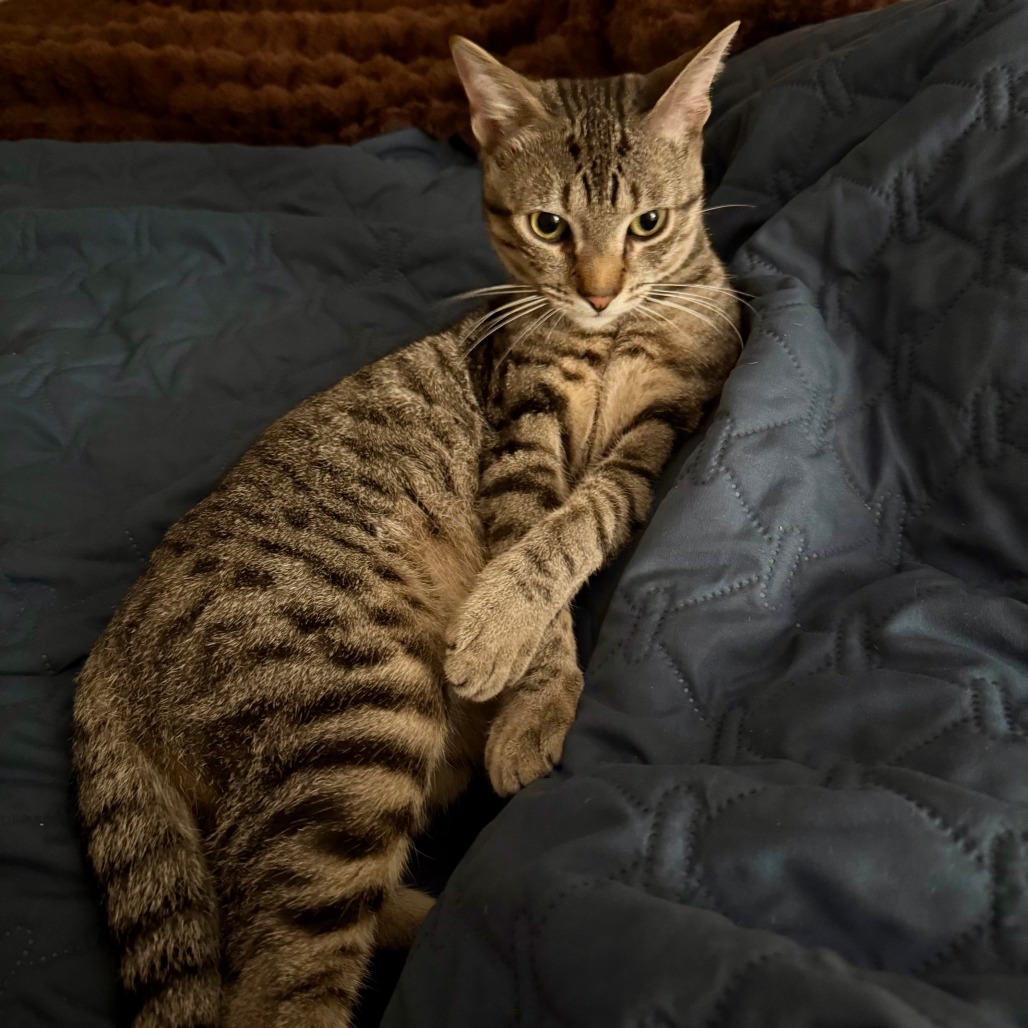 Winkle, photo 9