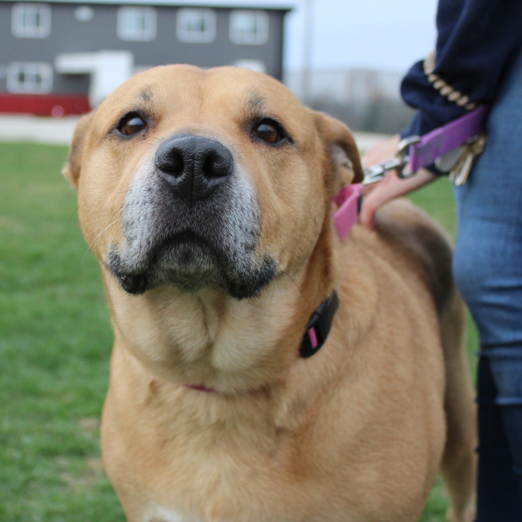 Tella Rose — thumbnail 2