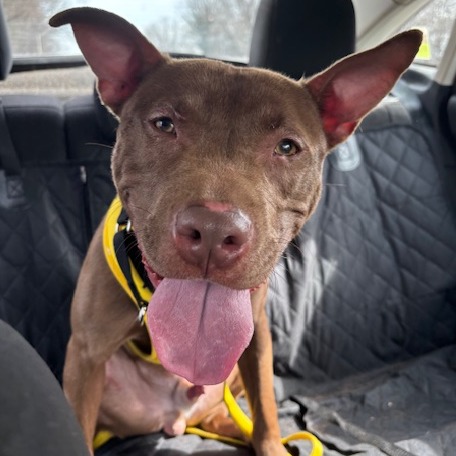 Jeffery — thumbnail 5