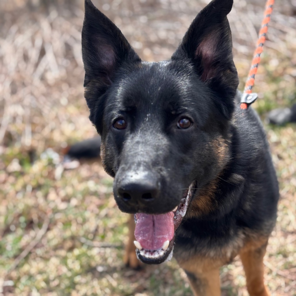 b8a218f93e30780d3c45a9ae18e8b53c