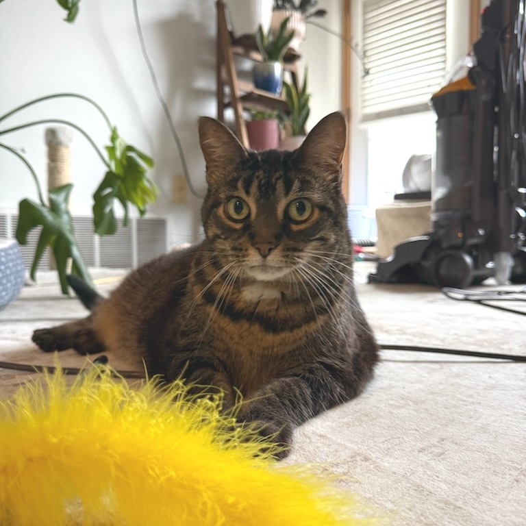 Presley--In Foster, photo 2