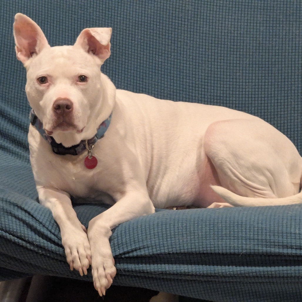 Zoey (fka Sonic), photo 10