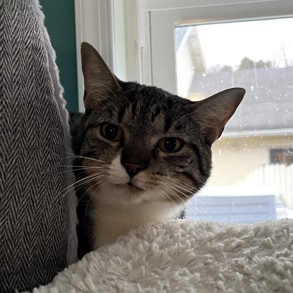 Evermore — thumbnail 4