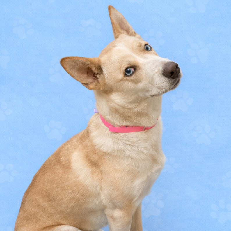 Alice — thumbnail 5