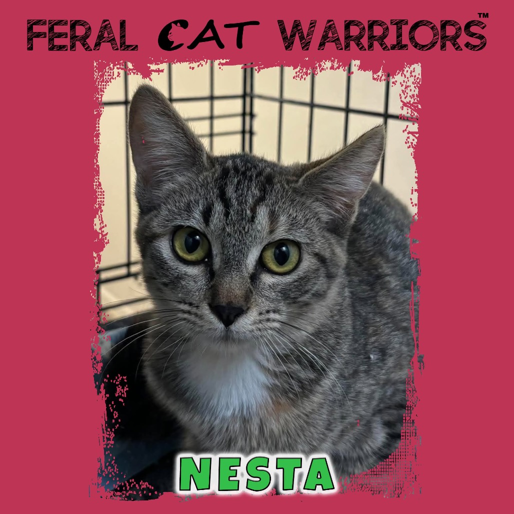 Nesta