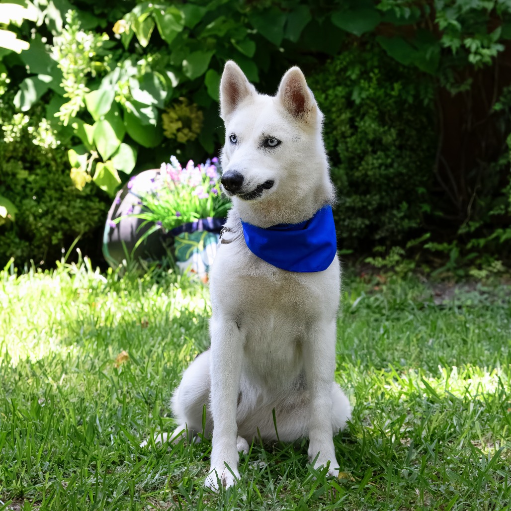 Photo of Reno "Reba"