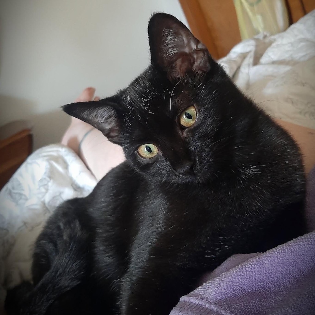 Finley