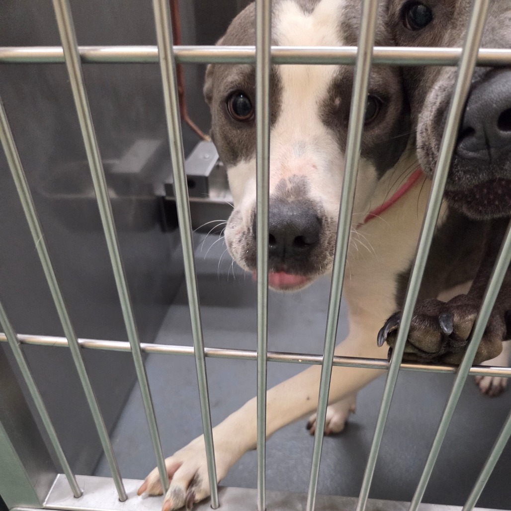 Happy — thumbnail 7