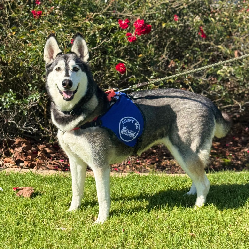Tundra, photo 12