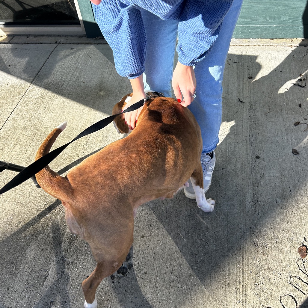 Björk — thumbnail 4