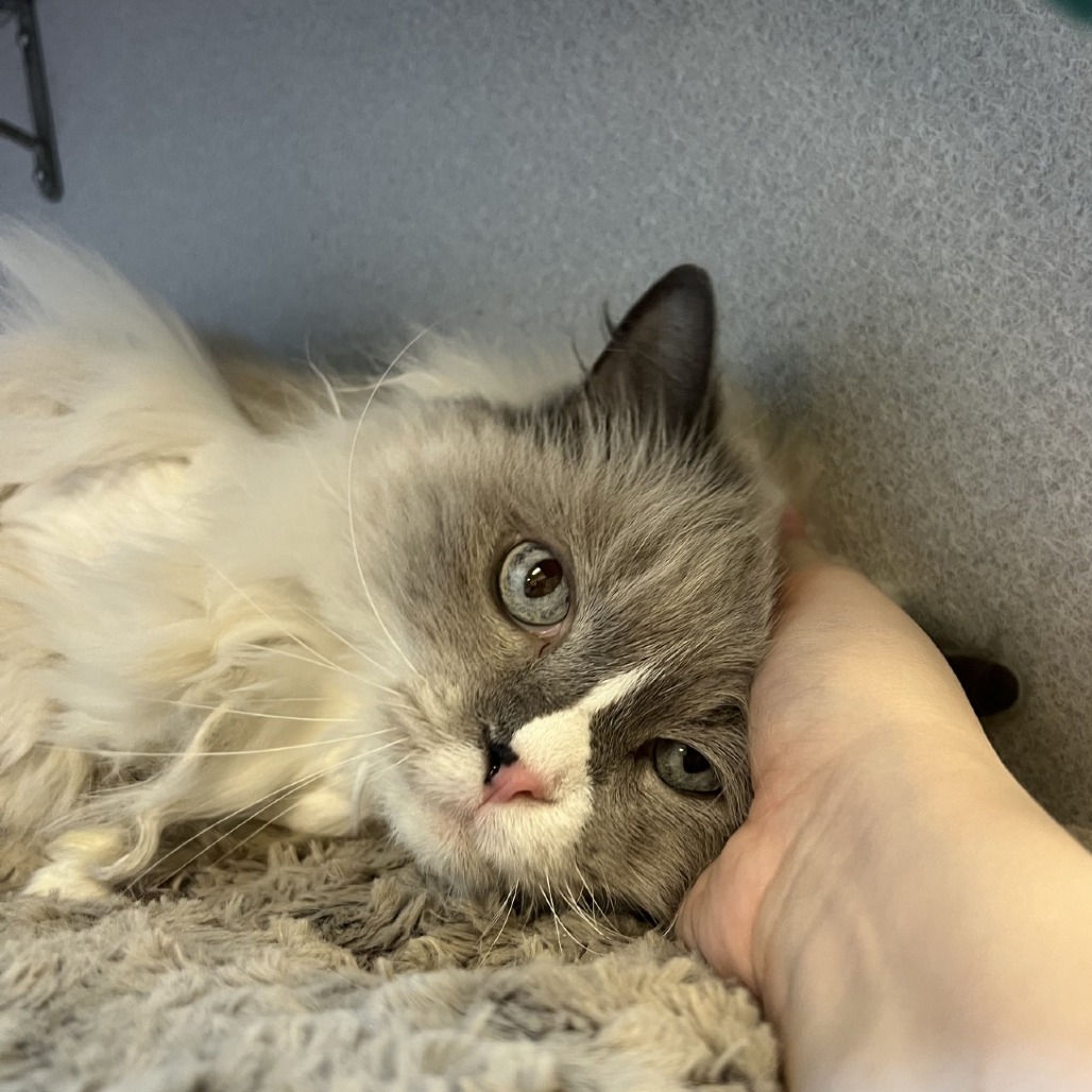 Photo of Cloudy 3
