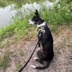 Beesly, photo 7