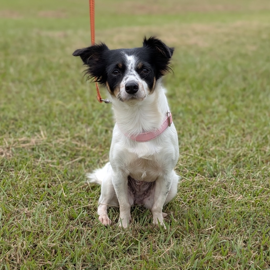 Ava Jane 09-2315