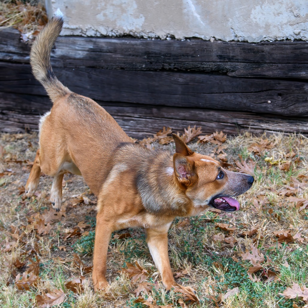 Photo of Templeton