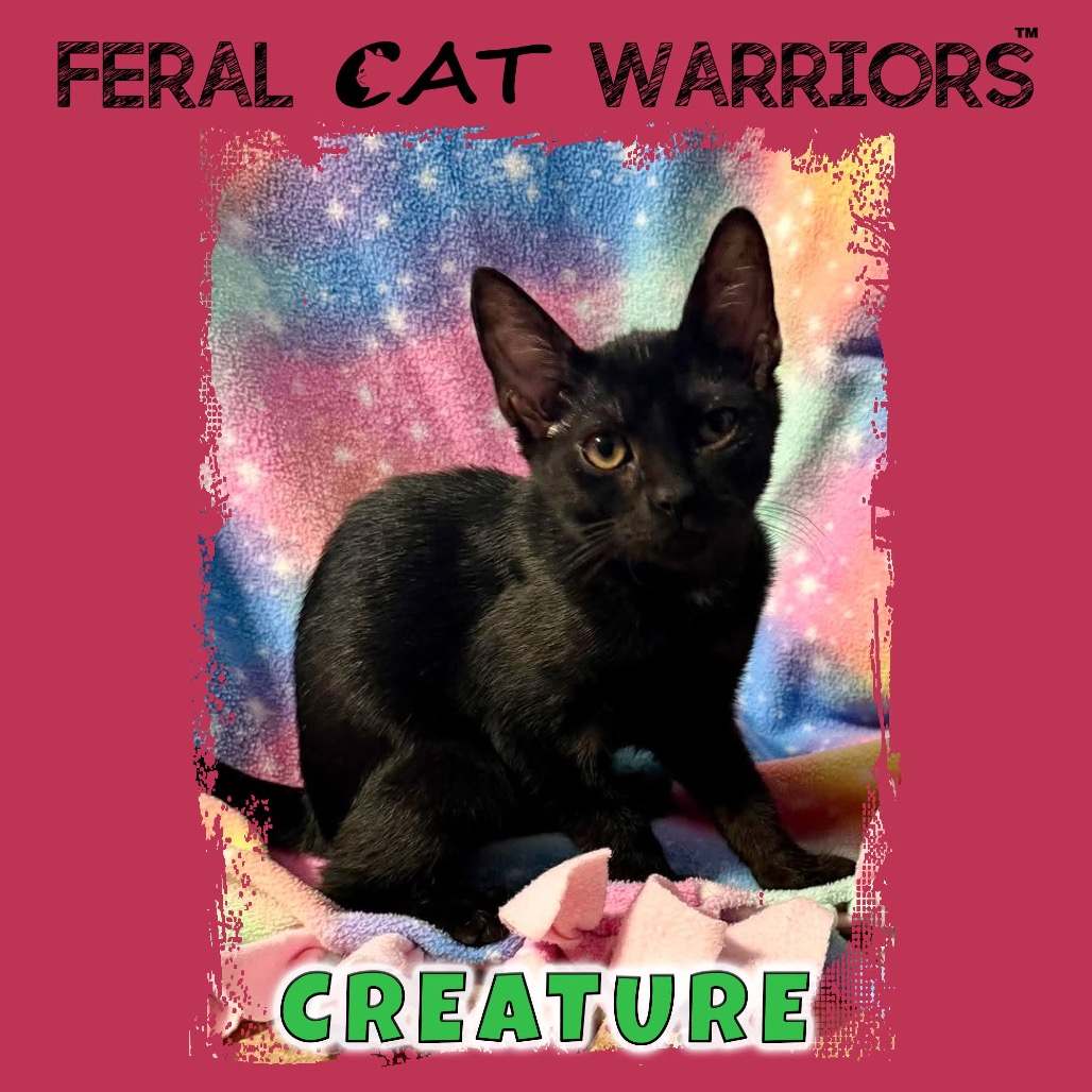 Creature