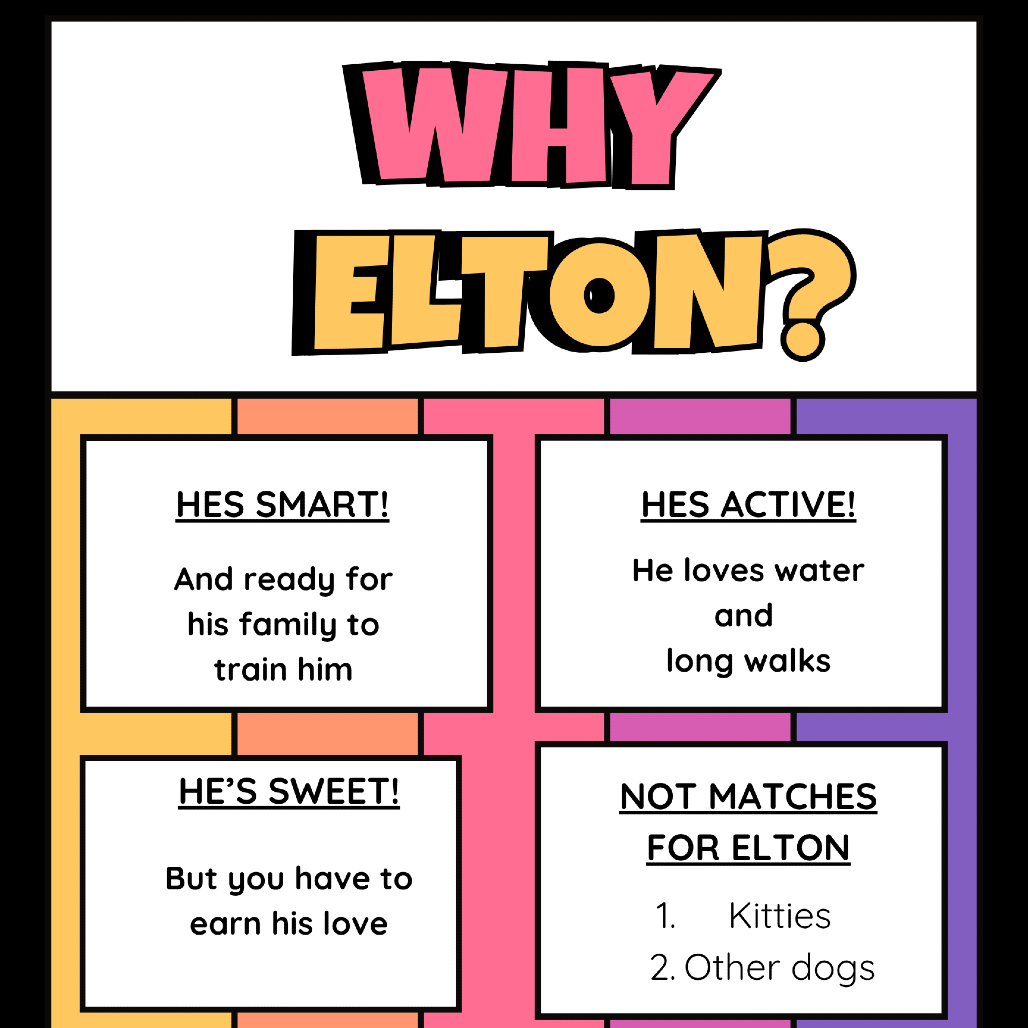 Elton, photo 14