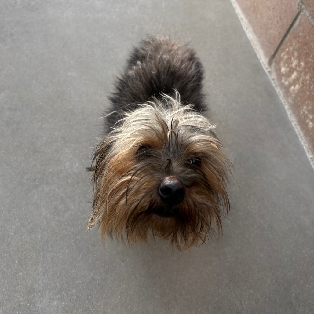 Scruff, photo 2