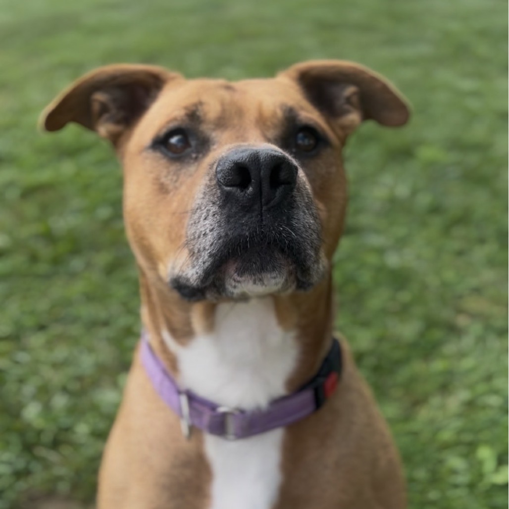 Baker