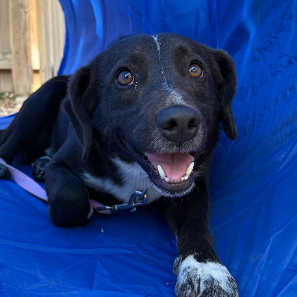 Stormy — thumbnail 2