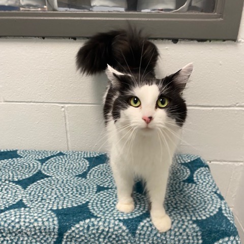 Dora — thumbnail 2