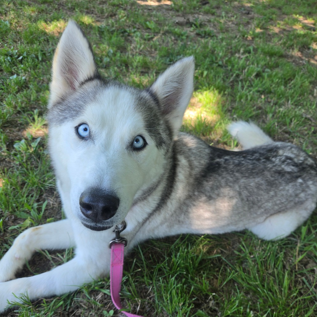 Casper photo 32