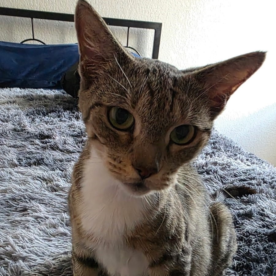 Delilah, photo 2