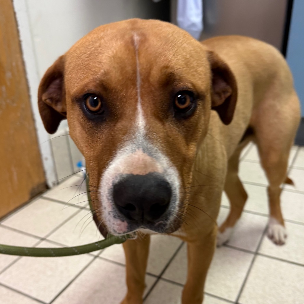 Turquoise — thumbnail 2