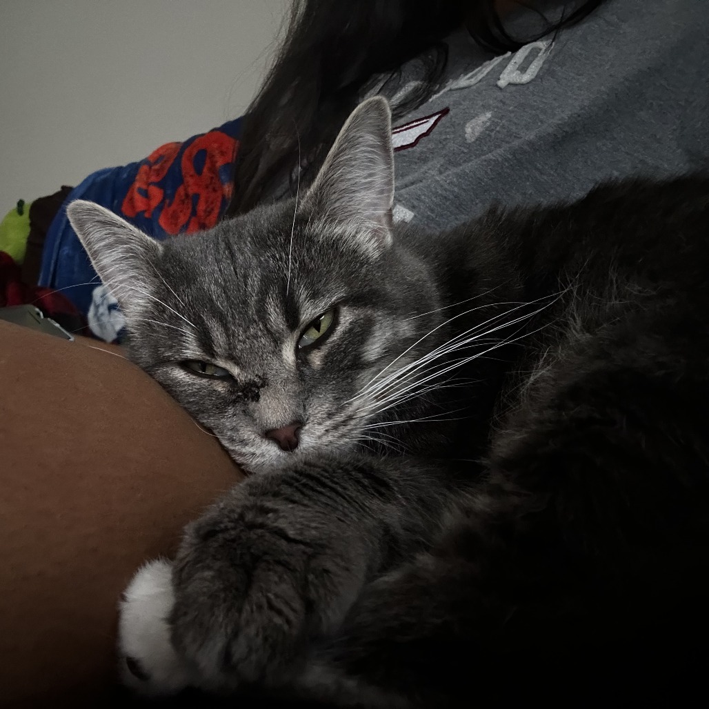 Kiara, photo 10