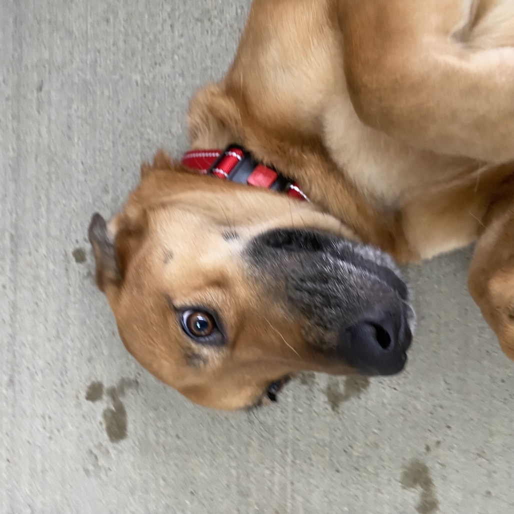 Theodora — thumbnail 3