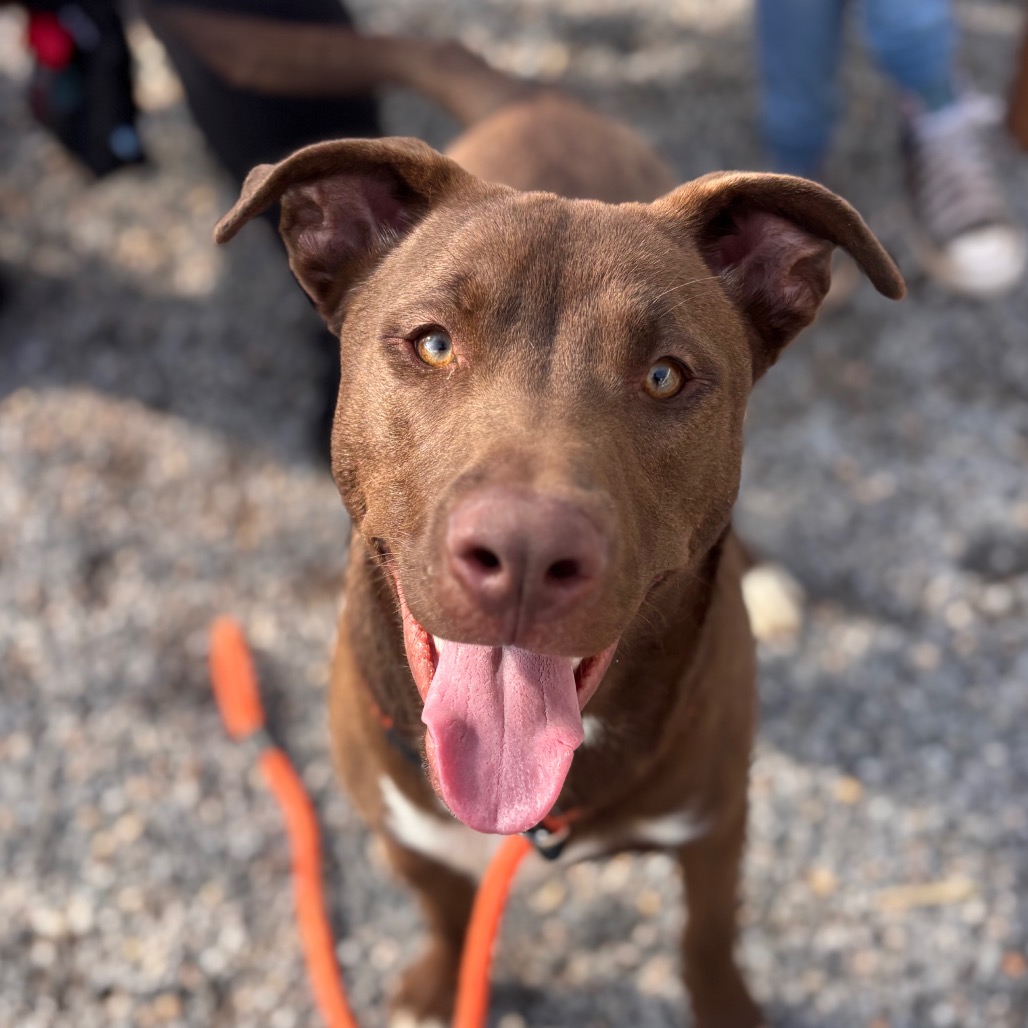 9c68ba6368618c5a75fa334cd2c9f27d