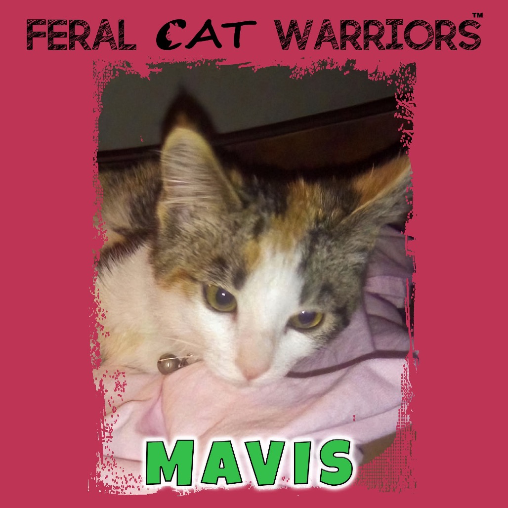Mavis