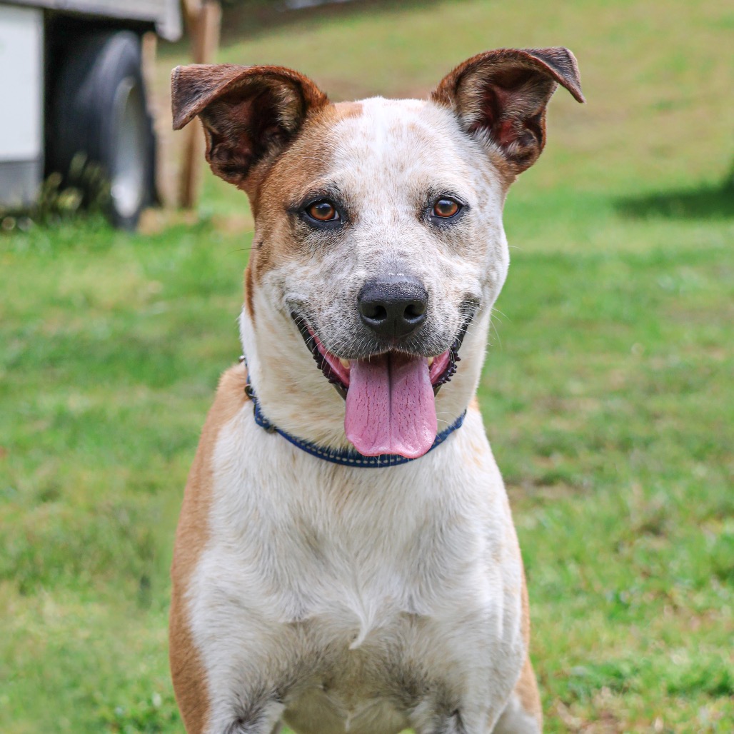 Buster, photo 16