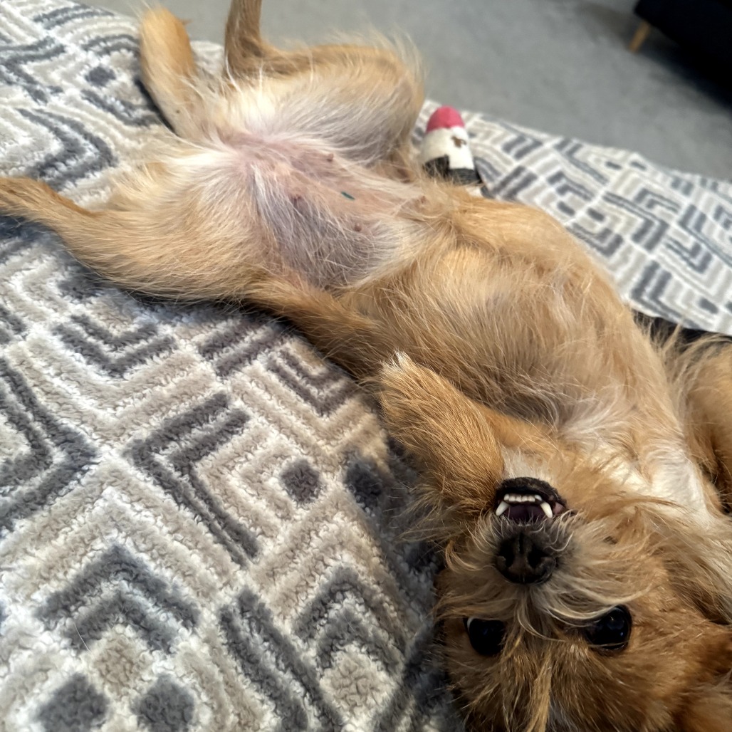 Bubbles — thumbnail 5