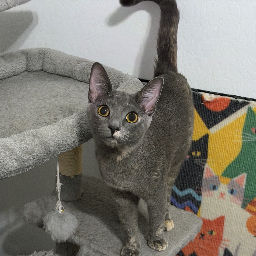 Nadja