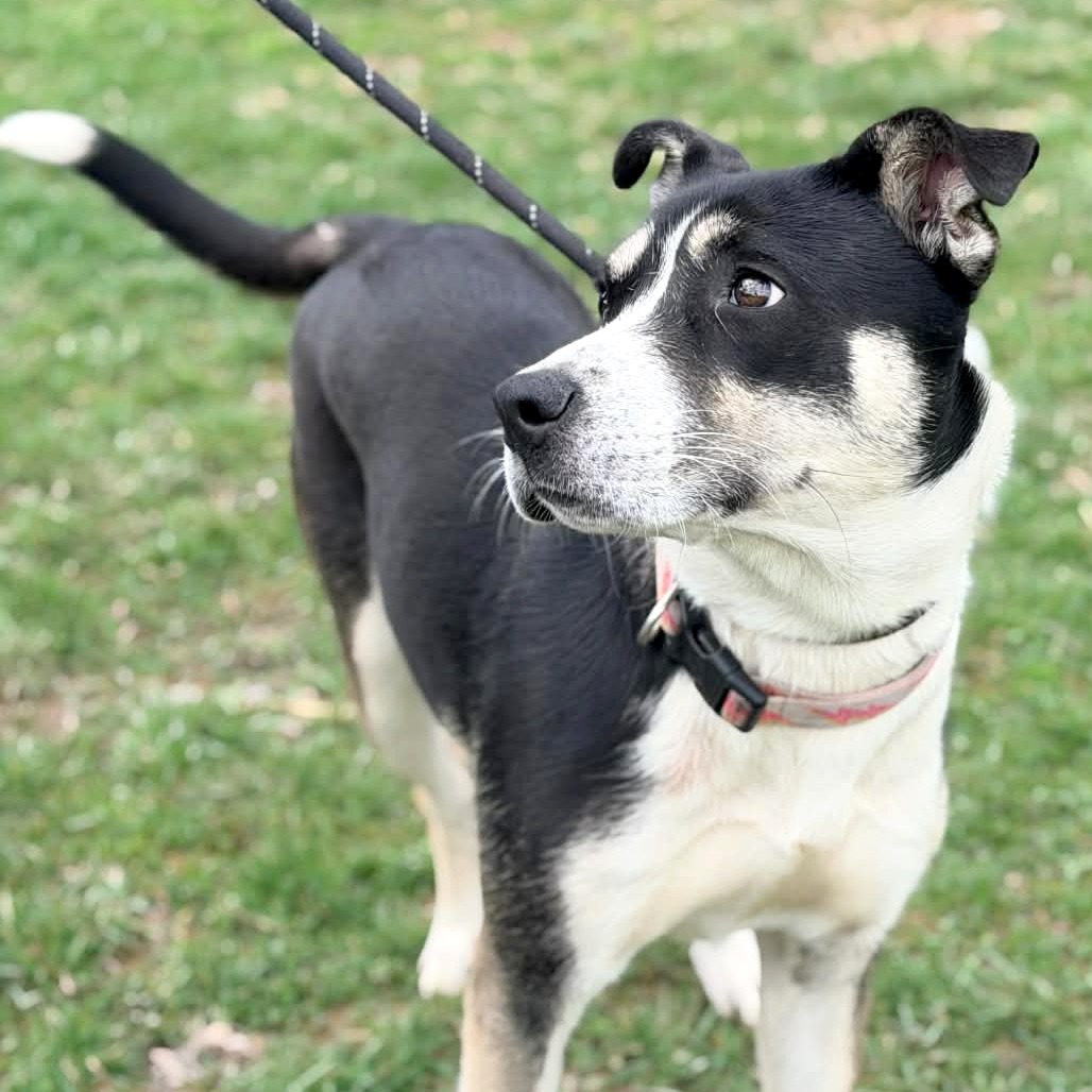 Ella — thumbnail 8