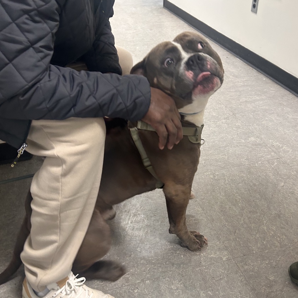 Blue Barry — thumbnail 2