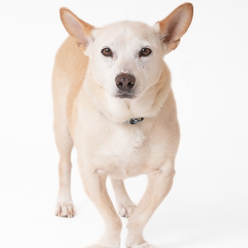 Ferrari 13879 — thumbnail 5