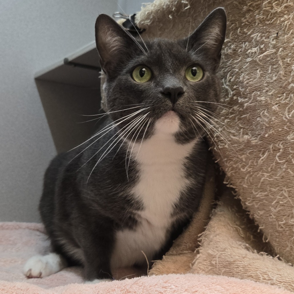 Photo of Kiwi 4