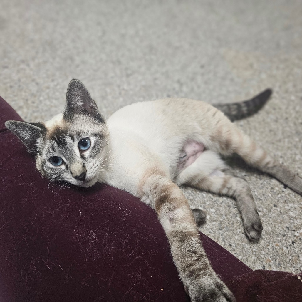 Ubetcha — thumbnail 3