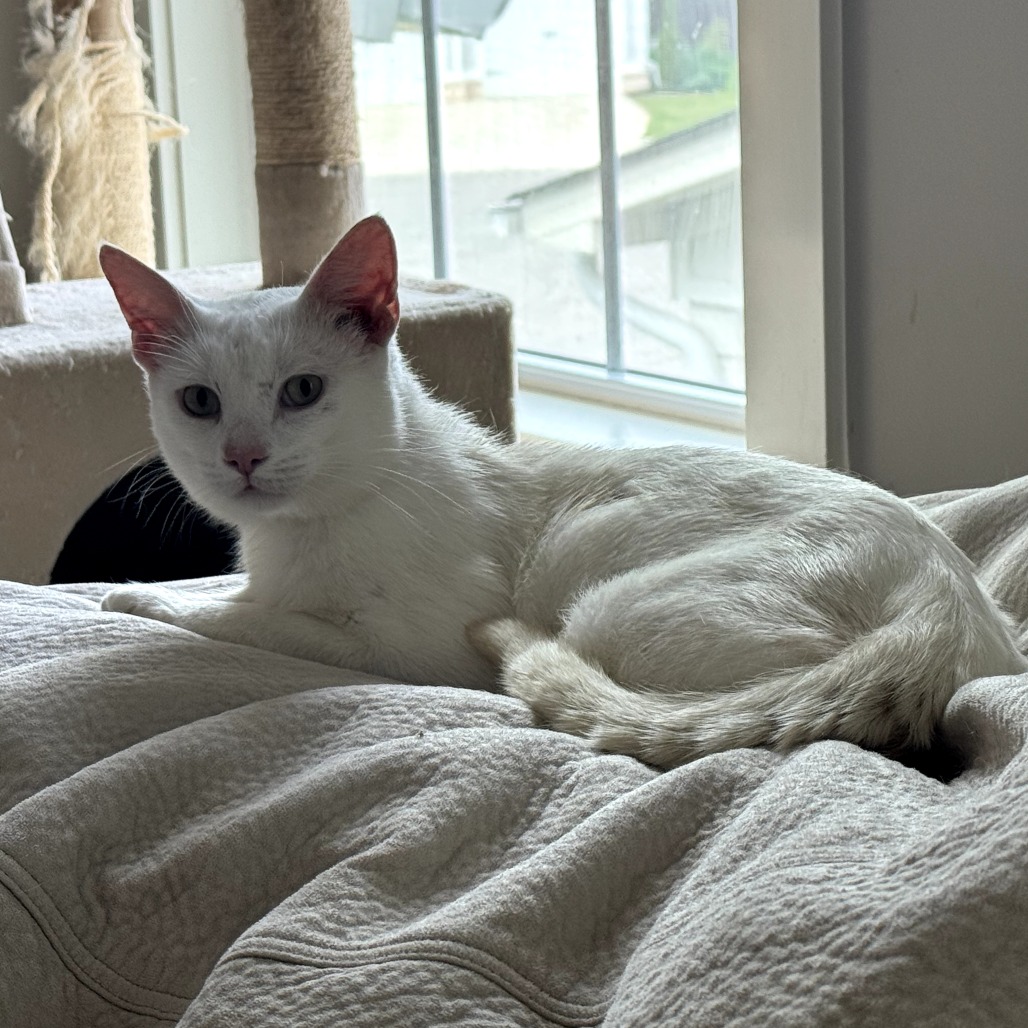 Russell — thumbnail 4