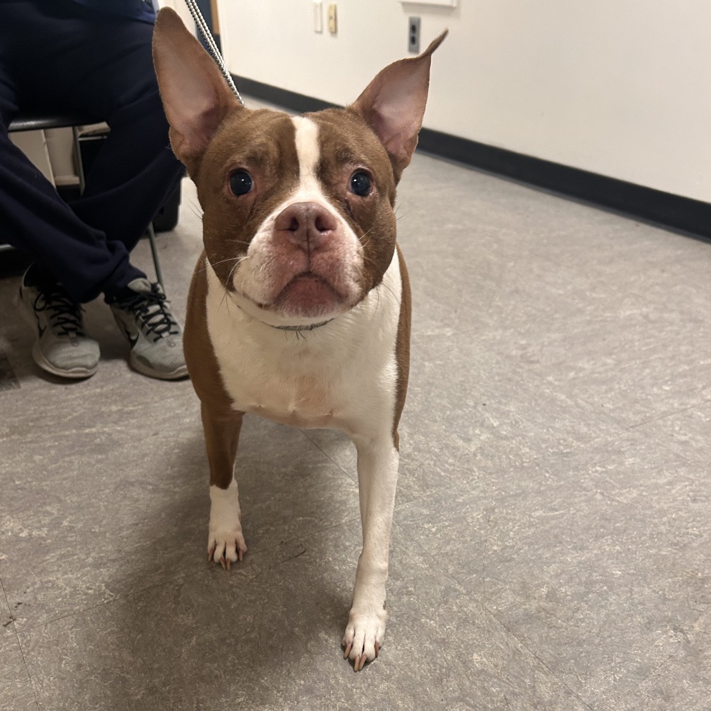 Hershey — thumbnail 3