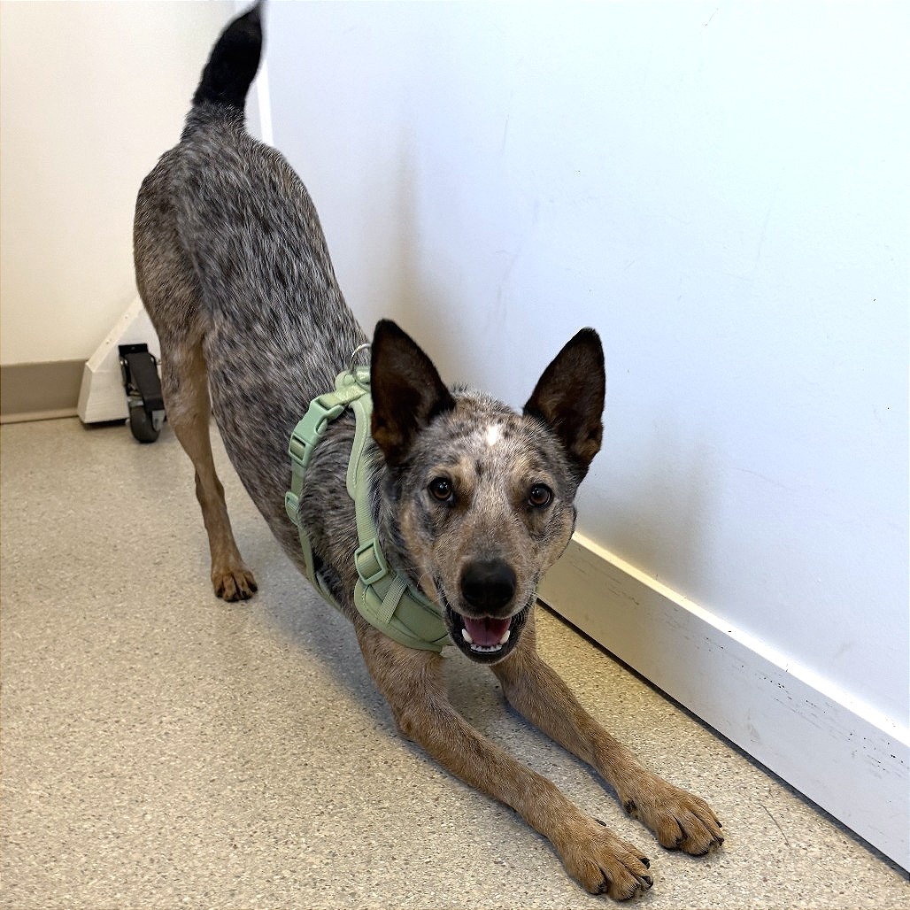 Gimly — thumbnail 5