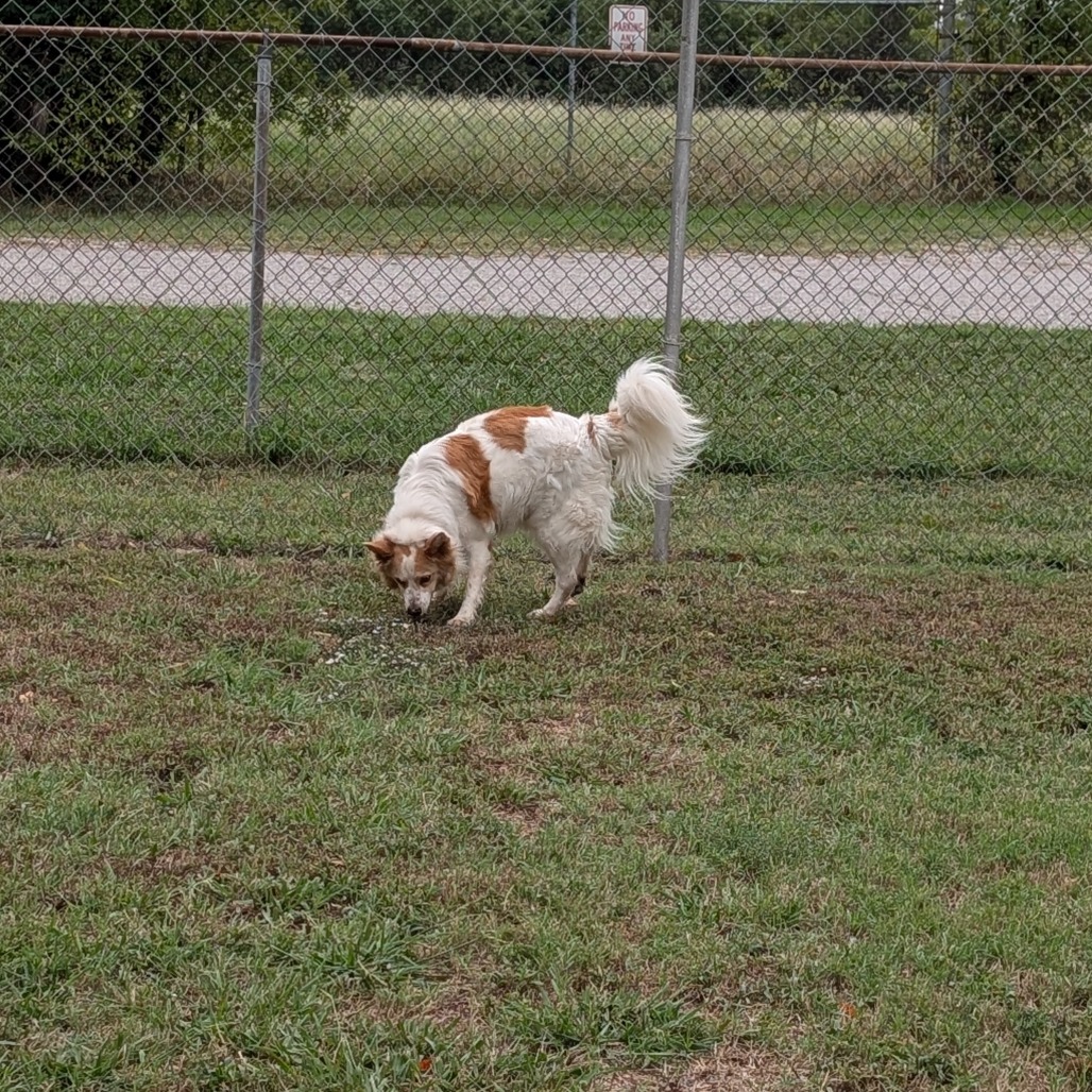 Sandy photo 21