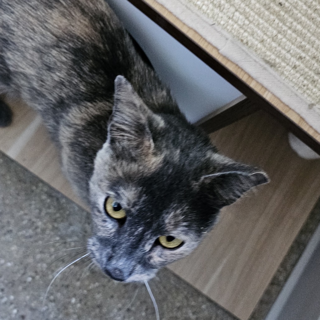 Elberta, photo 3
