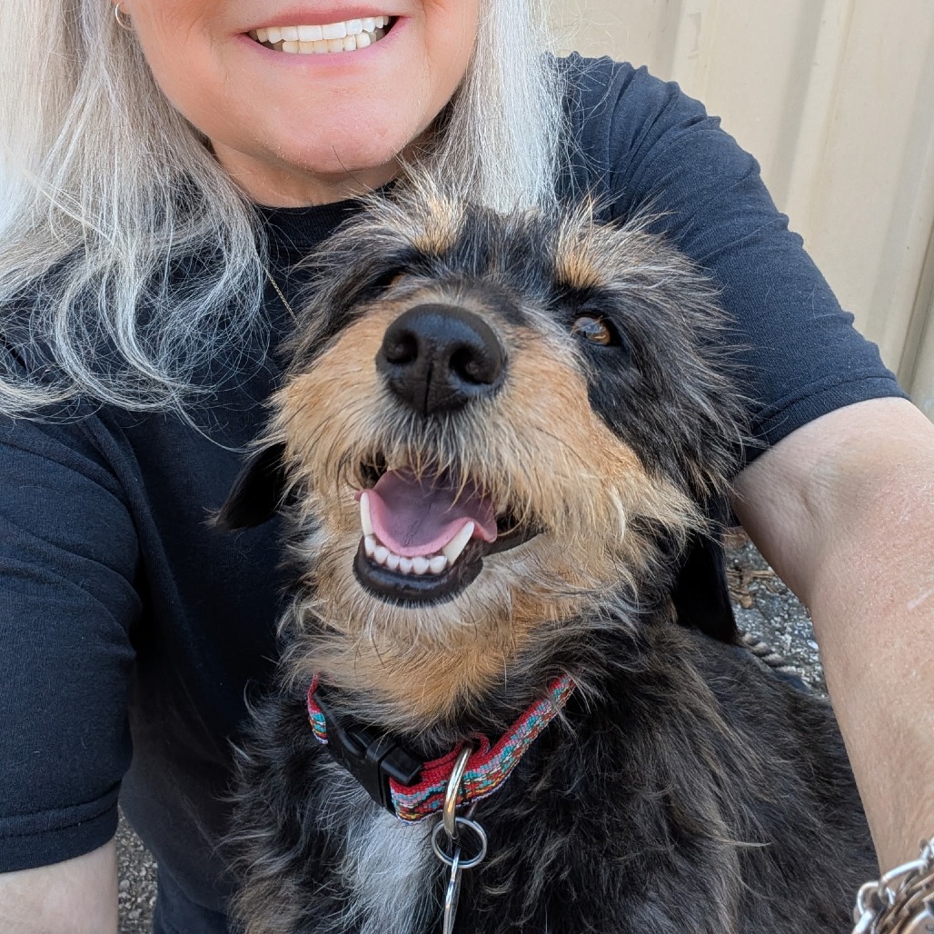 Camo Rescue Steffie is available for adoption at CAMO Rescue