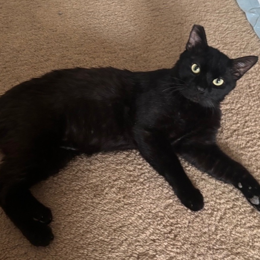 BINX