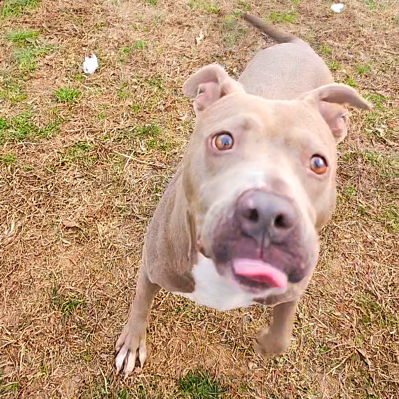 Alli — thumbnail 7