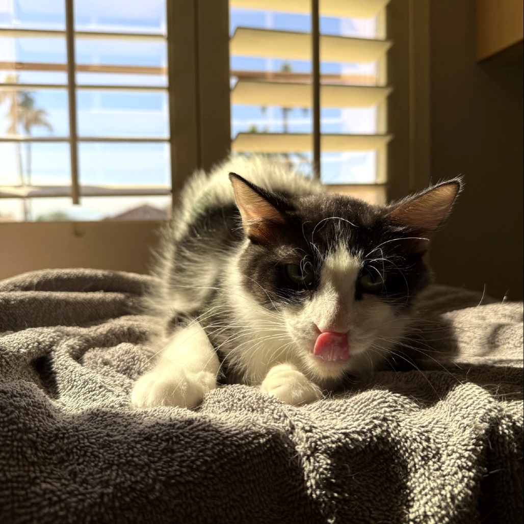 Mom Jeans picture #4