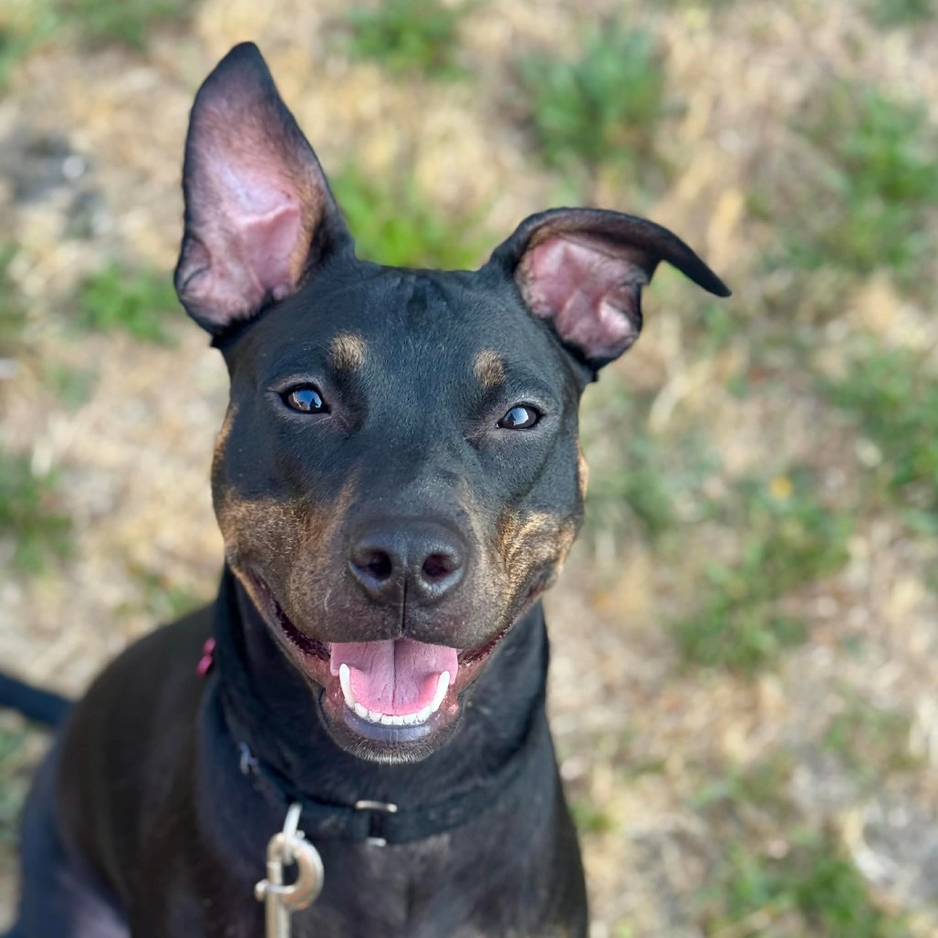 Nyx
