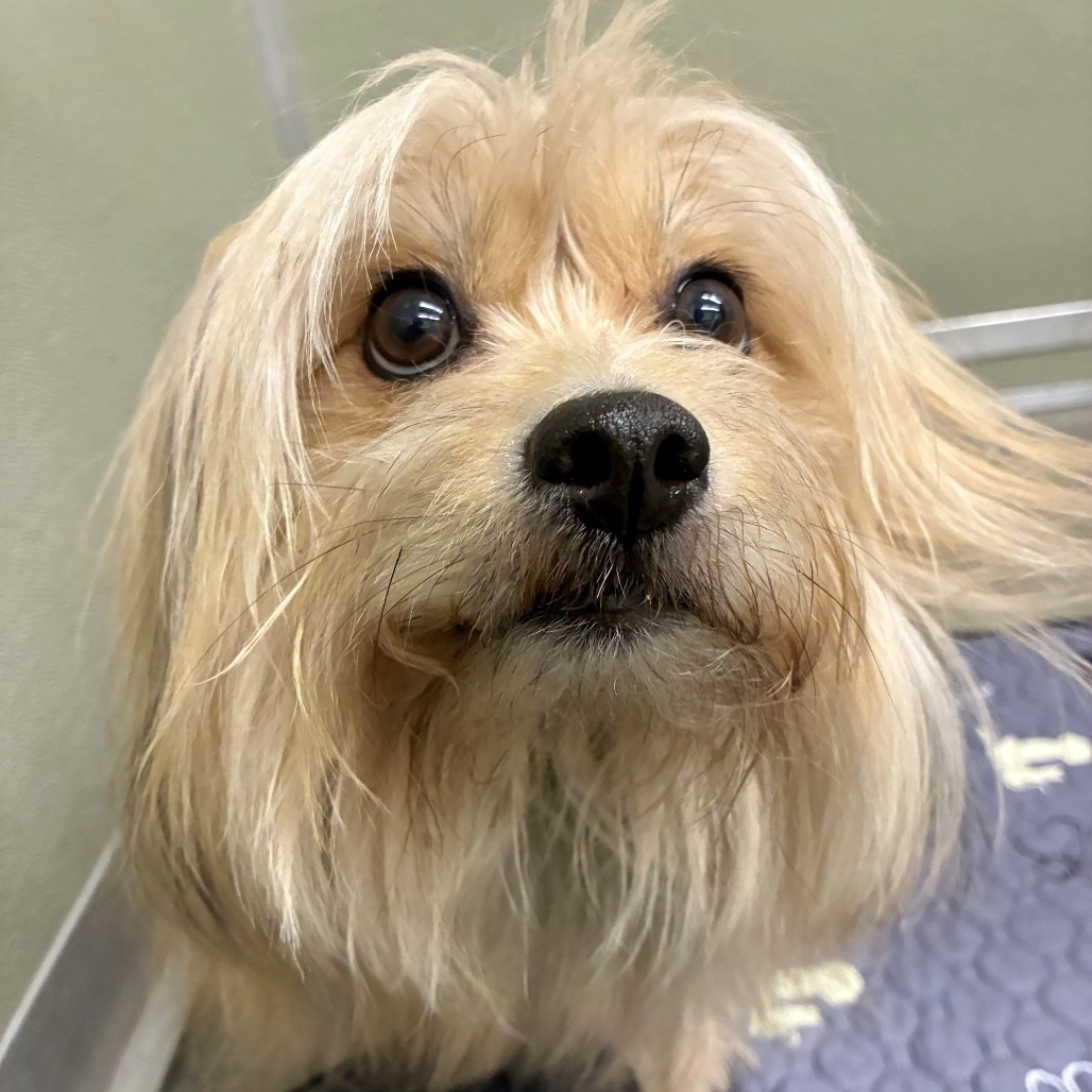 Jack — thumbnail 2